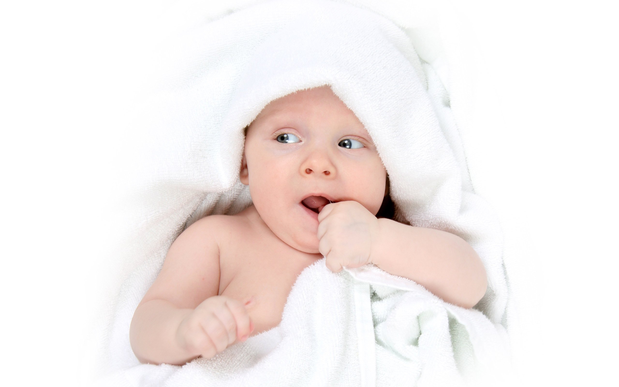 成都爱心捐卵机构试管婴儿当月移植成功率